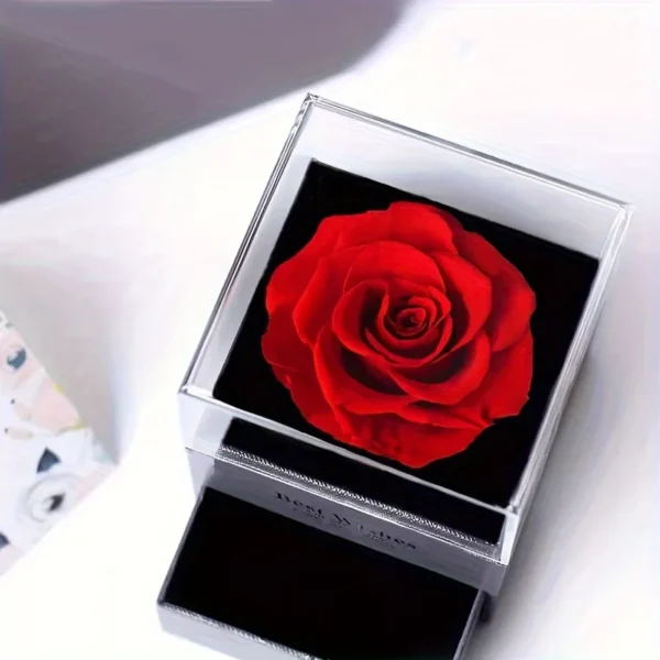 Estuche Rosa Eterna, Corazón Infinito - Image 4