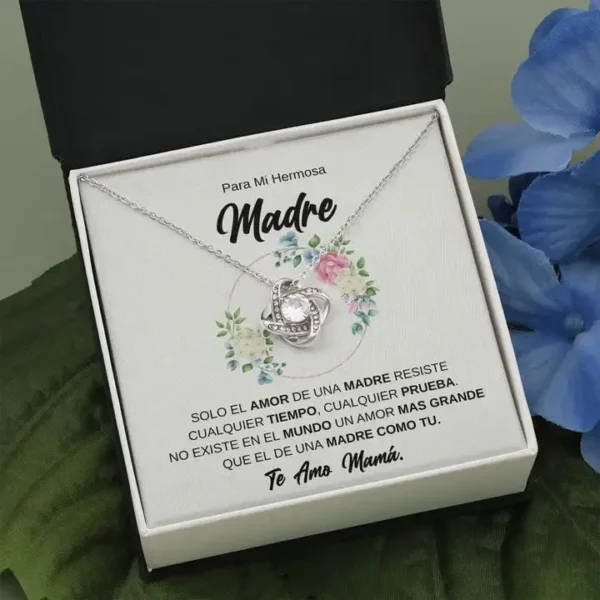 Brillo Noval - Para Mi Hermosa Madre, Te Amo Mamà - Image 5